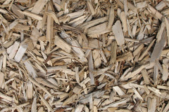 biomass boilers Falconwood